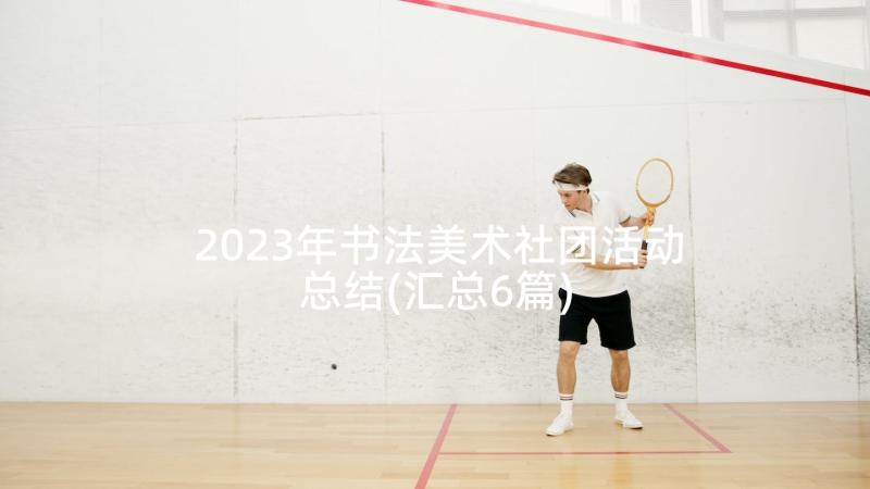 2023年书法美术社团活动总结(汇总6篇)