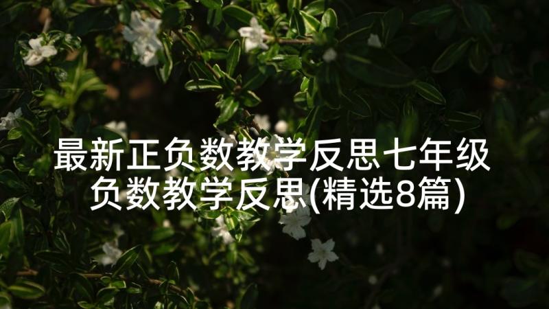 最新正负数教学反思七年级 负数教学反思(精选8篇)