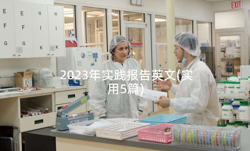 2023年实践报告英文(实用5篇)