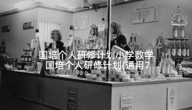 国培个人研修计划小学数学 国培个人研修计划(通用7篇)