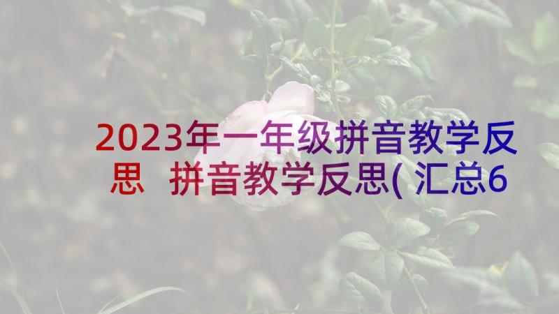 2023年一年级拼音教学反思 拼音教学反思(汇总6篇)