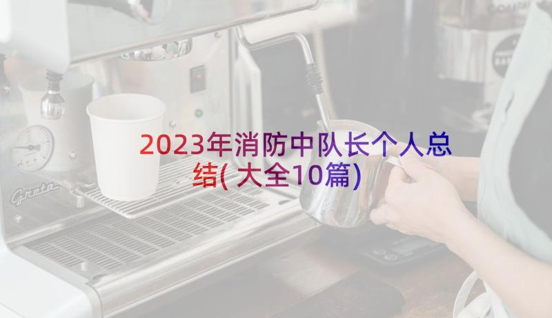 2023年消防中队长个人总结(大全10篇)