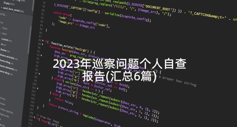 2023年巡察问题个人自查报告(汇总6篇)