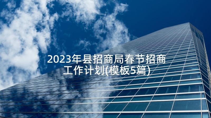 2023年县招商局春节招商工作计划(模板5篇)