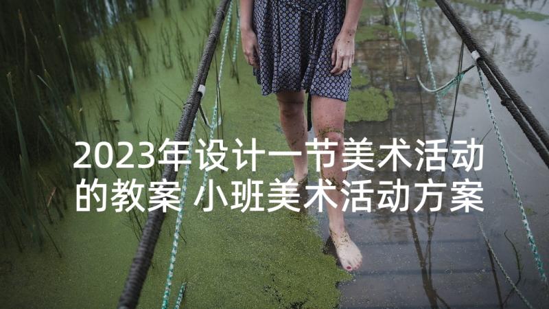 2023年设计一节美术活动的教案 小班美术活动方案设计(实用5篇)