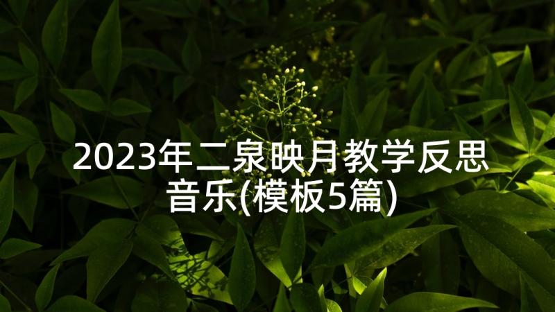 2023年二泉映月教学反思音乐(模板5篇)