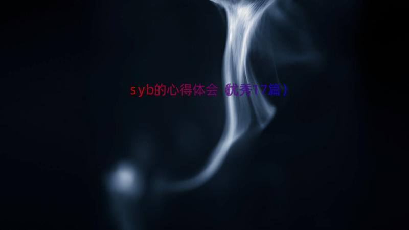 syb的心得体会（优秀17篇）