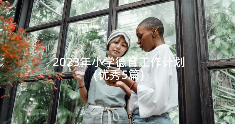 2023年小学德育工作计划(优秀5篇)