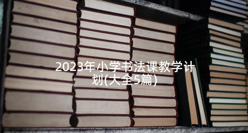 2023年小学书法课教学计划(大全5篇)