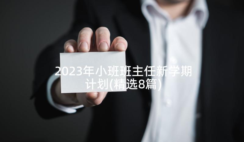 2023年小班班主任新学期计划(精选8篇)