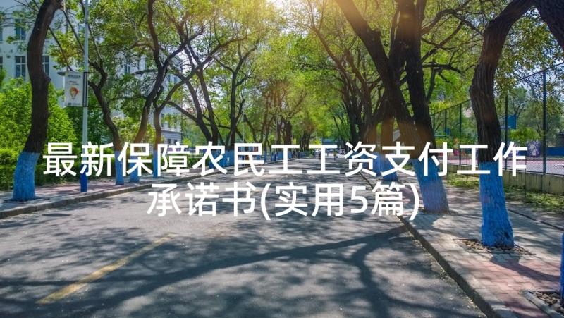 最新保障农民工工资支付工作承诺书(实用5篇)