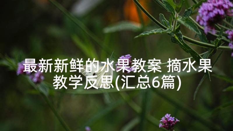 最新新鲜的水果教案 摘水果教学反思(汇总6篇)