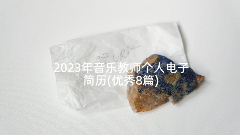 2023年音乐教师个人电子简历(优秀8篇)