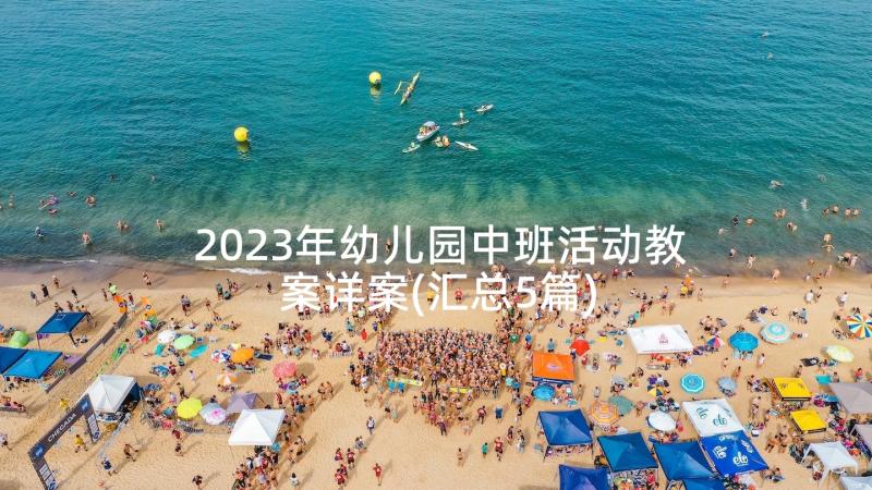 2023年幼儿园中班活动教案详案(汇总5篇)