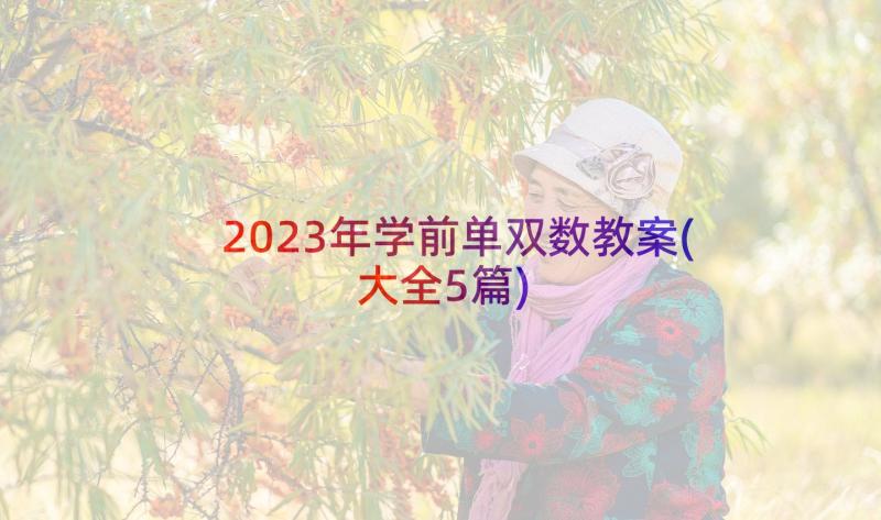 2023年学前单双数教案(大全5篇)