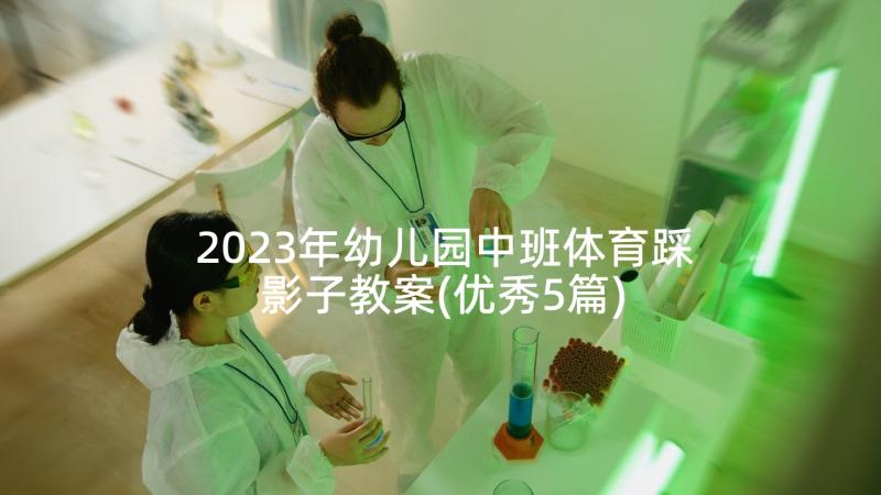 2023年幼儿园中班体育踩影子教案(优秀5篇)