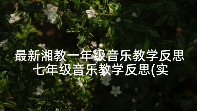 最新湘教一年级音乐教学反思 七年级音乐教学反思(实用9篇)