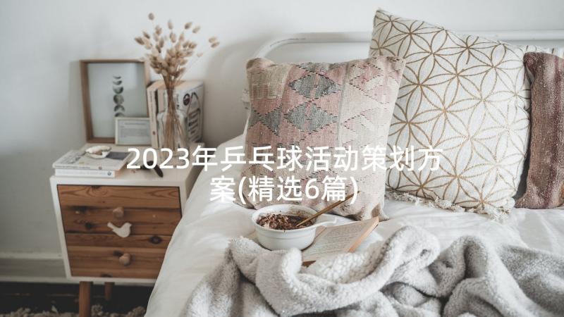 2023年乒乓球活动策划方案(精选6篇)