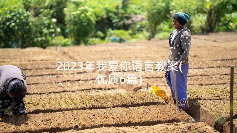 2023年我爱你语言教案(优质6篇)