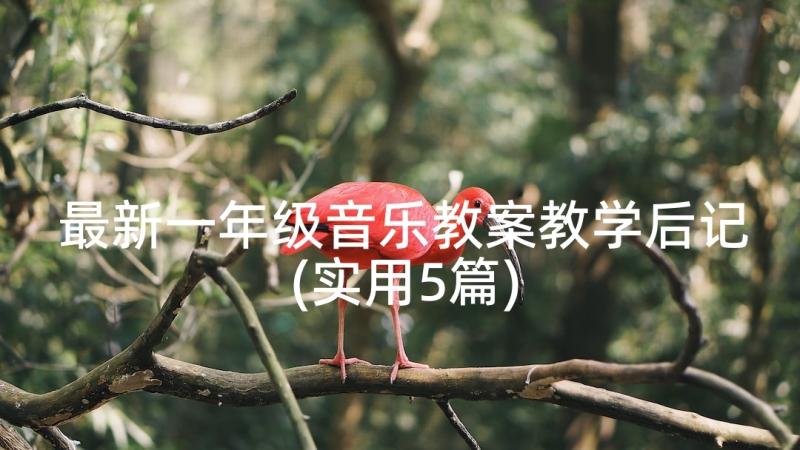 最新一年级音乐教案教学后记(实用5篇)