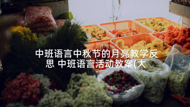 中班语言中秋节的月亮教学反思 中班语言活动教案(大全7篇)