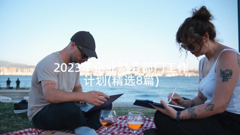 2023年企业财务部门工作计划(精选8篇)