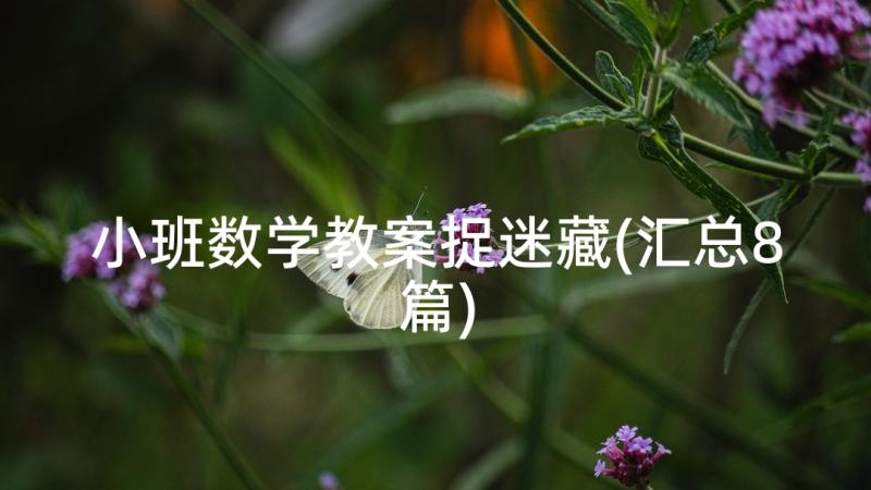 小班数学教案捉迷藏(汇总8篇)