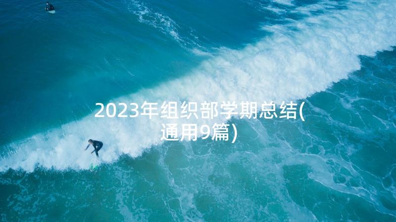2023年组织部学期总结(通用9篇)