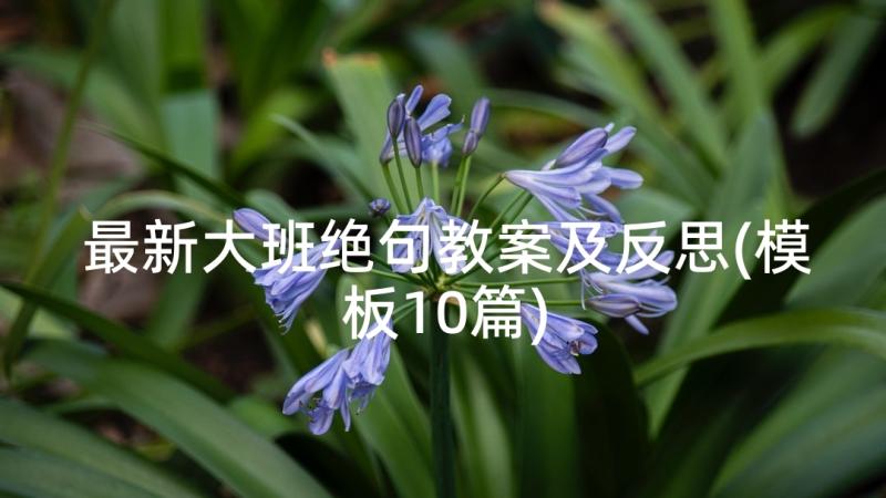 最新大班绝句教案及反思(模板10篇)