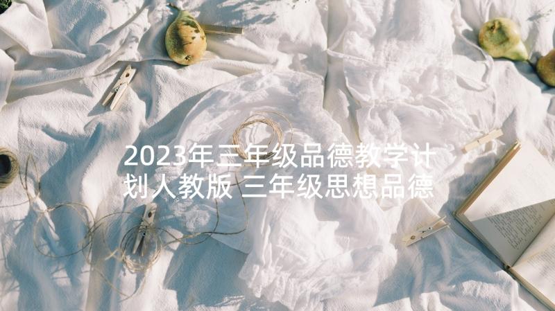 2023年三年级品德教学计划人教版 三年级思想品德教学计划(优质6篇)