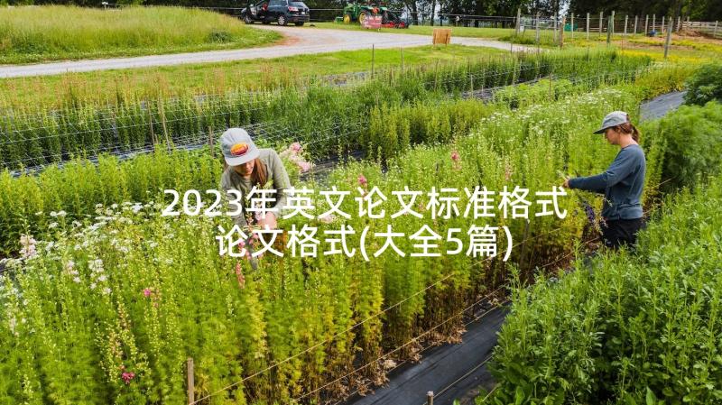 2023年英文论文标准格式论文格式(大全5篇)