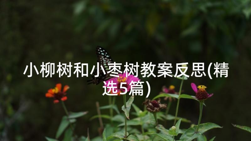 小柳树和小枣树教案反思(精选5篇)