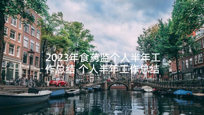 2023年食药监个人半年工作总结 个人半年工作总结(精选8篇)