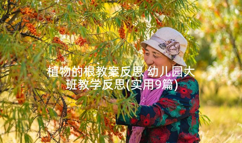 植物的根教案反思 幼儿园大班教学反思(实用9篇)