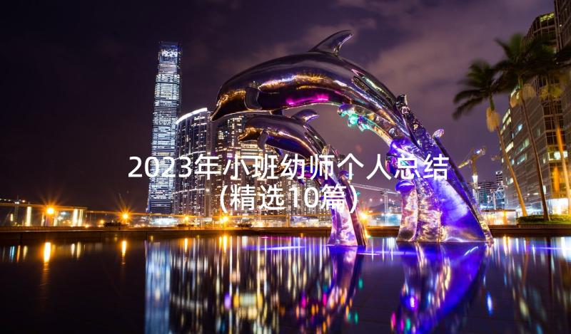 2023年小班幼师个人总结(精选10篇)