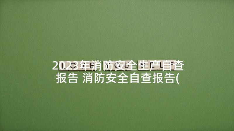 2023年消防安全生产自查报告 消防安全自查报告(优质8篇)