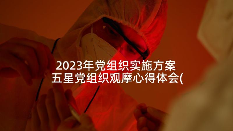 2023年党组织实施方案 五星党组织观摩心得体会(实用7篇)