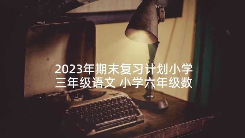 2023年期末复习计划小学三年级语文 小学六年级数学期末复习计划书(大全5篇)