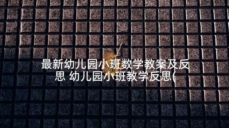 最新幼儿园小班数学教案及反思 幼儿园小班教学反思(实用6篇)