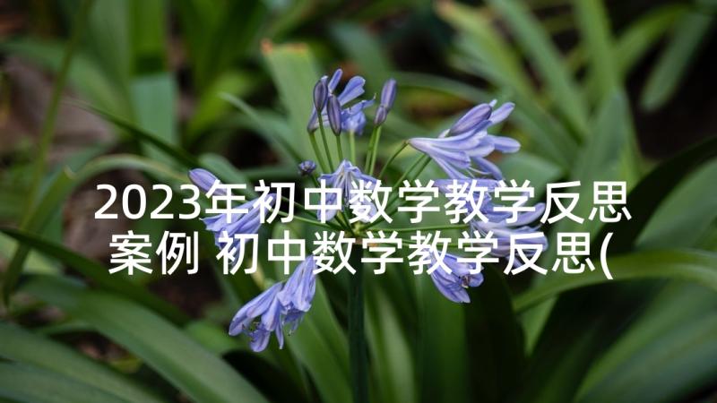 2023年初中数学教学反思案例 初中数学教学反思(模板6篇)