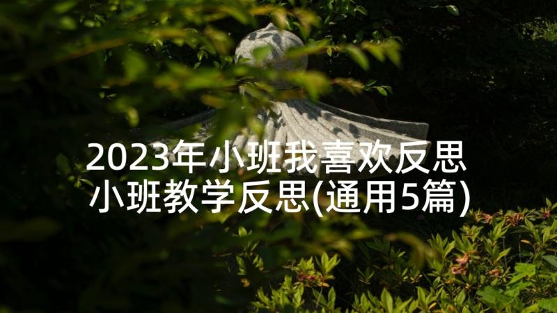 2023年小班我喜欢反思 小班教学反思(通用5篇)