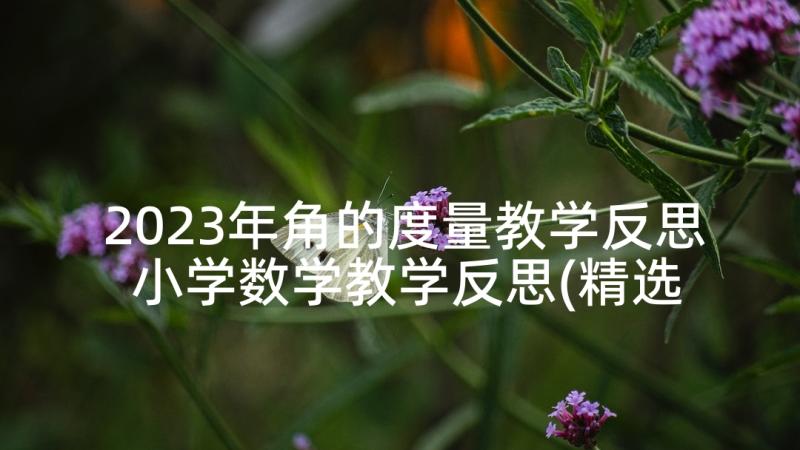 2023年角的度量教学反思 小学数学教学反思(精选9篇)