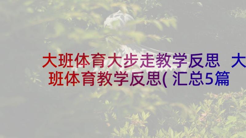 大班体育大步走教学反思 大班体育教学反思(汇总5篇)