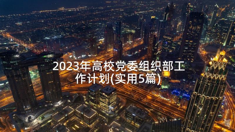 2023年高校党委组织部工作计划(实用5篇)