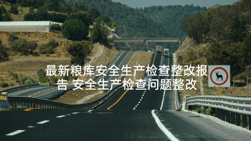 最新粮库安全生产检查整改报告 安全生产检查问题整改情况报告(大全5篇)