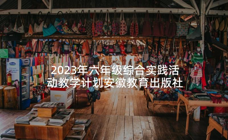 2023年六年级综合实践活动教学计划安徽教育出版社(模板9篇)