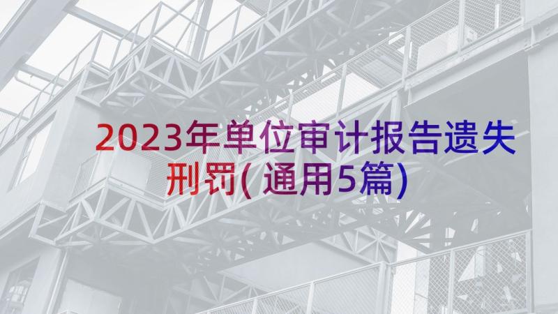 2023年单位审计报告遗失刑罚(通用5篇)