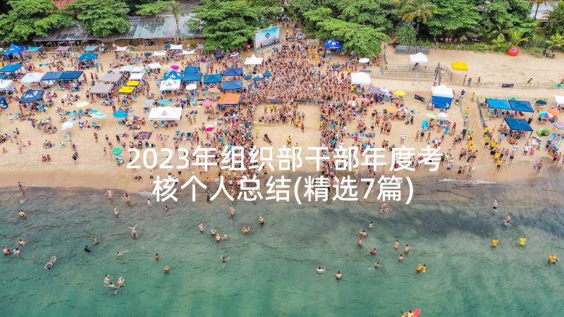 2023年组织部干部年度考核个人总结(精选7篇)