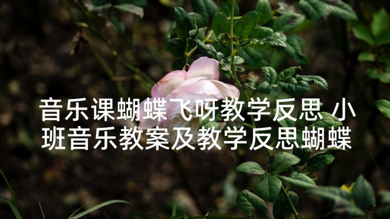 音乐课蝴蝶飞呀教学反思 小班音乐教案及教学反思蝴蝶蝴蝶真美丽(精选5篇)