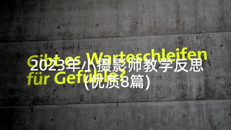 2023年小摄影师教学反思(优质8篇)